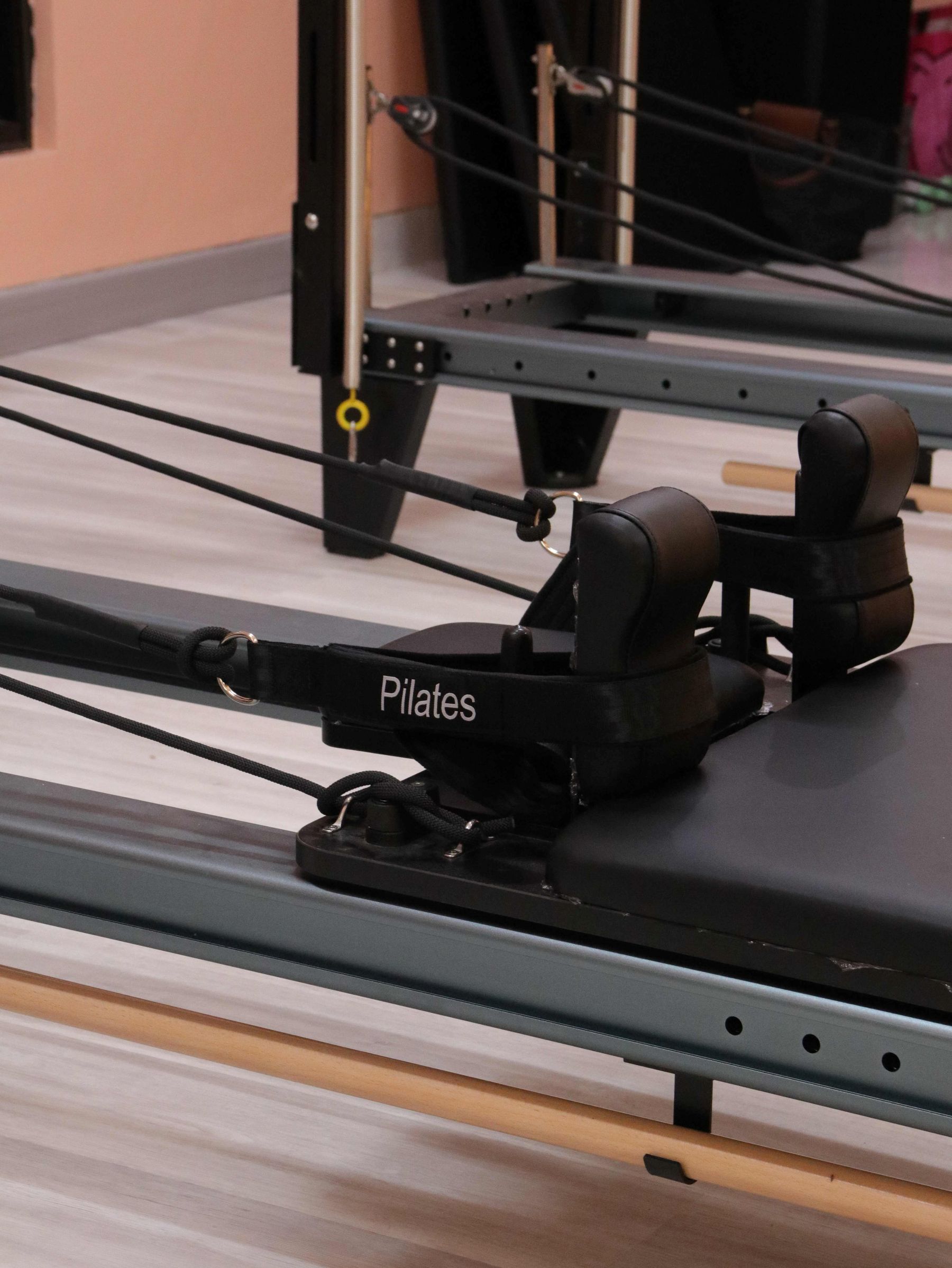 Reformer in sunlight